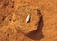 부여 송국리유적_002_구상유구에서 수습된 슴베가 있는 돌화살촉_2015_고고_제4유형.JPG이미지